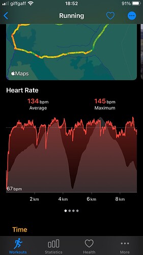 healthfit run