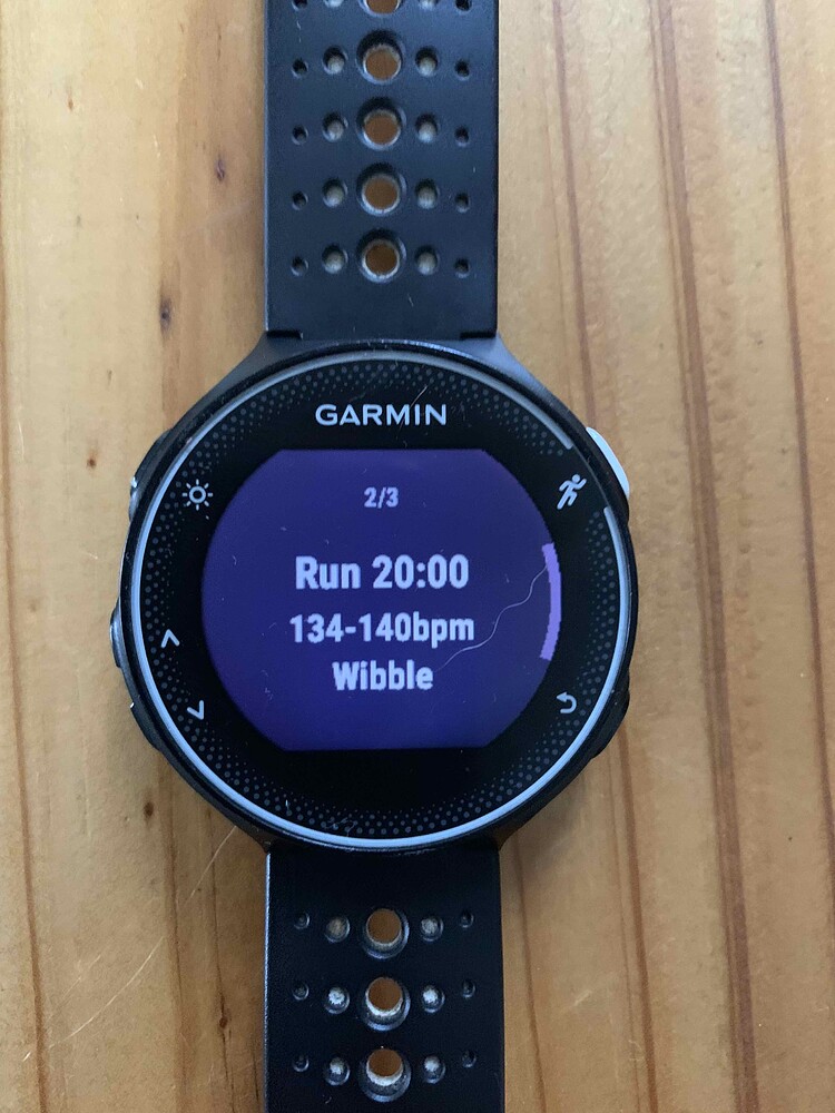 garmin workouts on watch