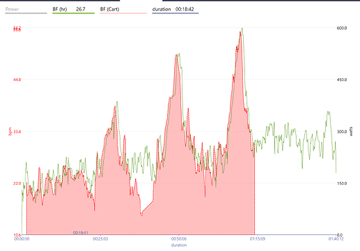 BF (VO2Max Intervals)
