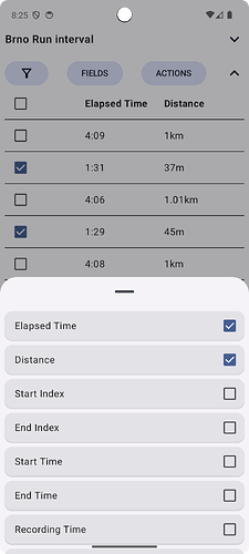 activity-detail-interval-fields