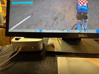 IMG_5919