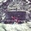 Aaron_Gibbons-Plowri