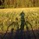 Andrew_Miller
