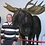 Ian_Baber